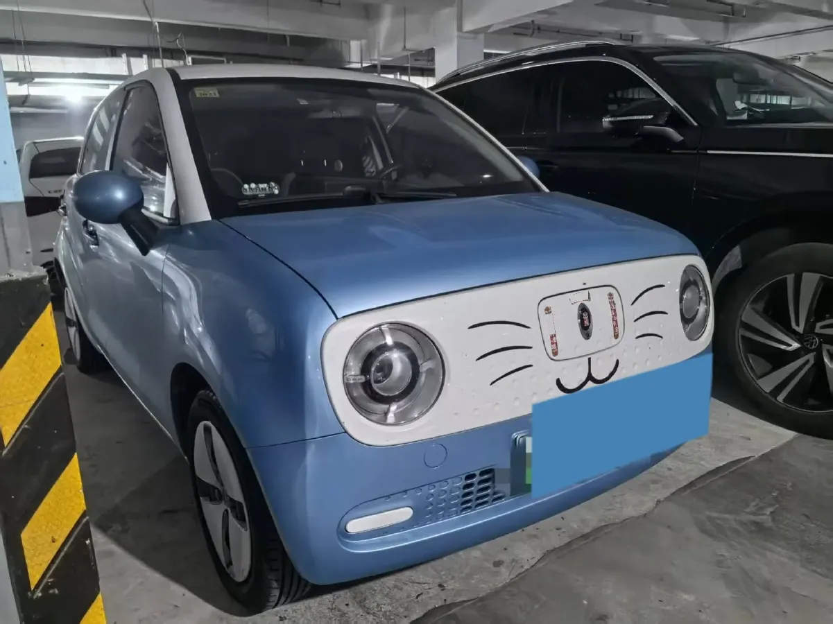2019 Ora BlackCat BEV 28.5KWH,autocango,china used car exporter,china ev exporter,chinese used car exporter,chinese used ev exporter