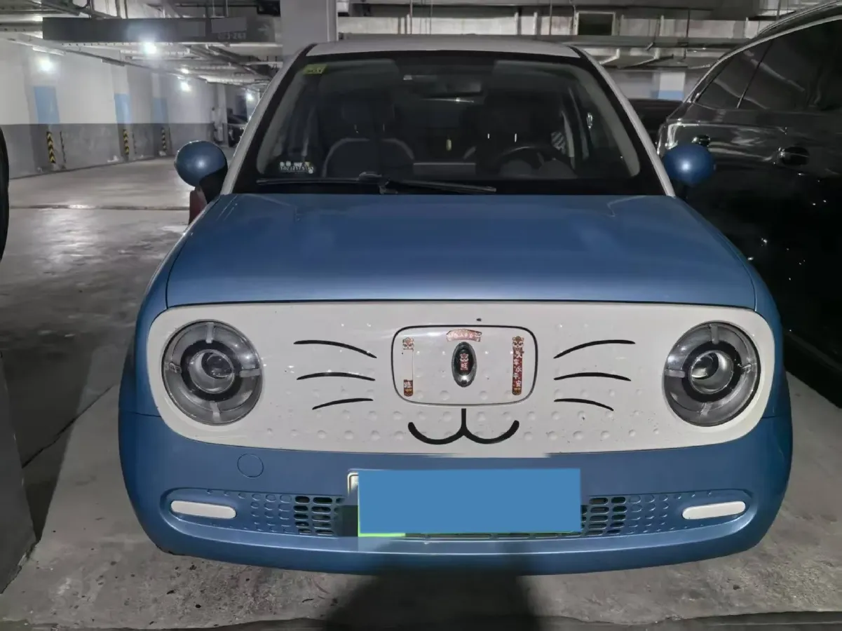 2019 Ora BlackCat BEV 28.5KWH,autocango,china used car exporter,china ev exporter,chinese used car exporter,chinese used ev exporter