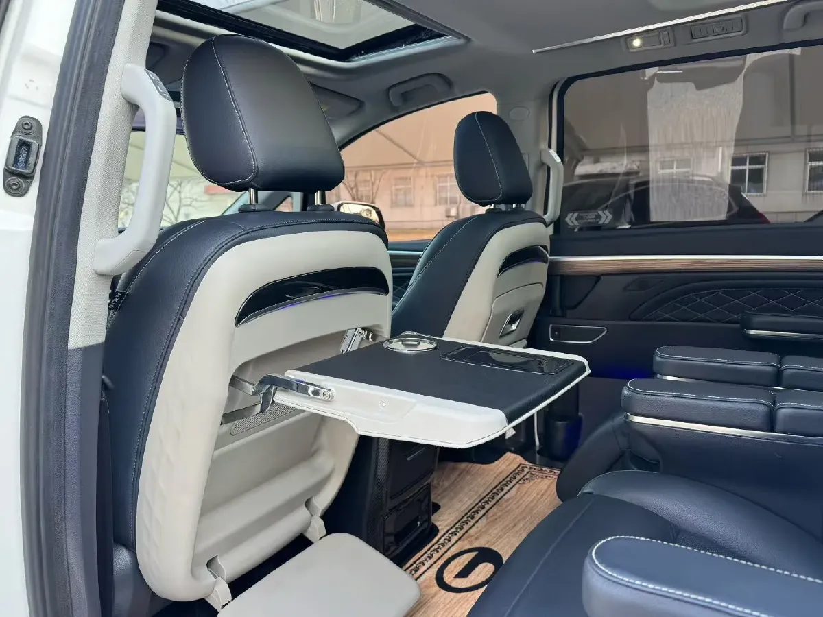 2020 GAC Trumpchi M8 2.0T 252HP L4 8AT,autocango,china used car exporter,china ev exporter,chinese used car exporter,chinese used ev exporter