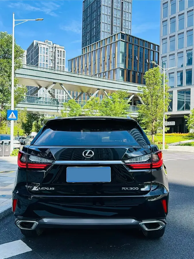 2016 Lexus RX 2.0T 231HP L4 6AT,autocango,china used car exporter,china ev exporter,chinese used car exporter,chinese used ev exporter