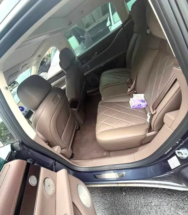2025 HIMA Stelato S9 REEV 160HP REEV,autocango,china used car exporter,china ev exporter,chinese used car exporter,chinese used ev exporter
