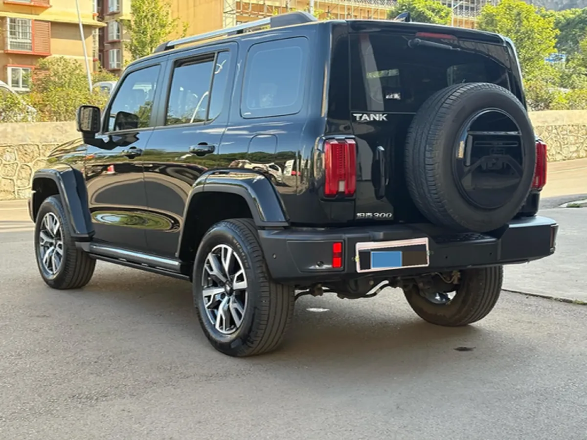 2023 Tank 300 2.0T 227HP L4 8AT,autocango,china used car exporter,china ev exporter,chinese used car exporter,chinese used ev exporter