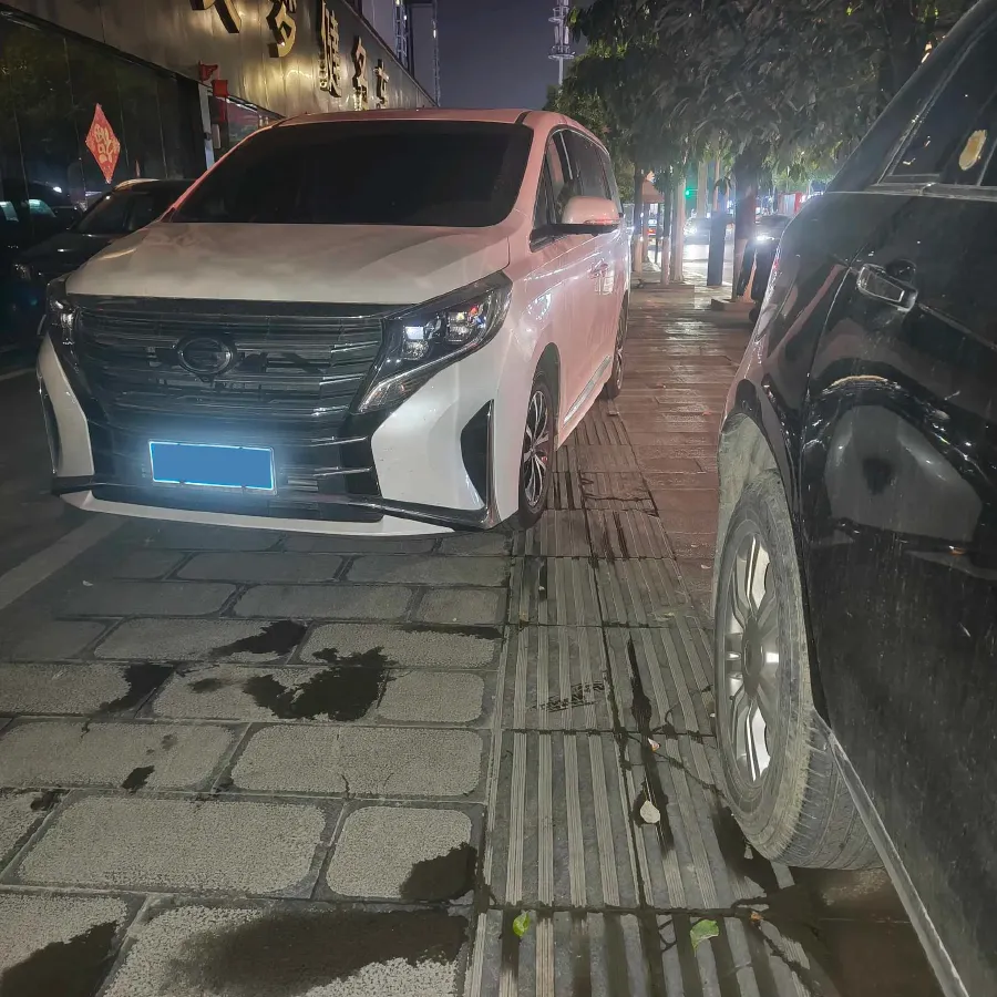 2021 GAC Trumpchi M8 2.0T 252HP L4 8AT,autocango,china used car exporter,china ev exporter,chinese used car exporter,chinese used ev exporter