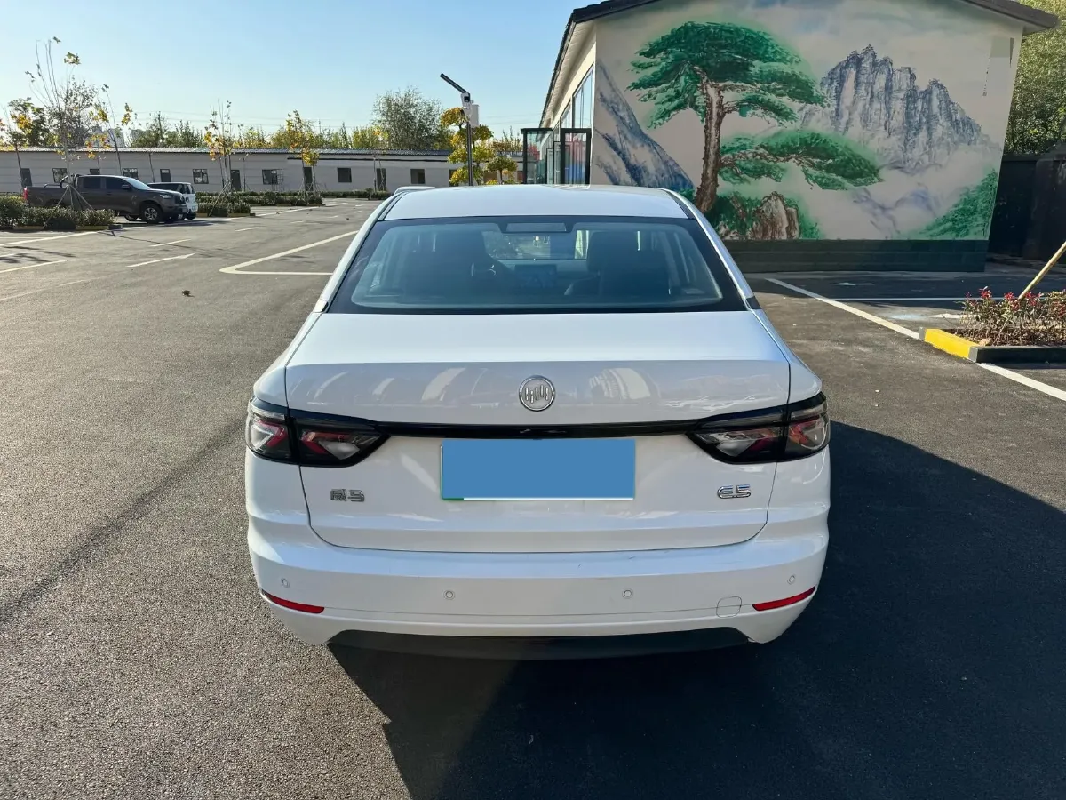 2022 Weltmeister EX5 BEV 52.704KWH,autocango,china used car exporter,china ev exporter,chinese used car exporter,chinese used ev exporter