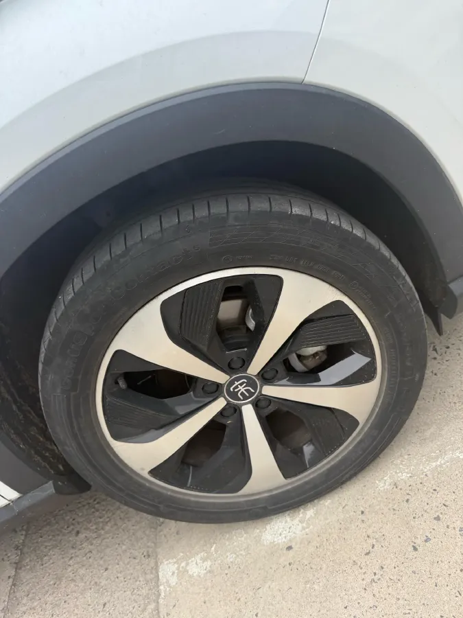 2021 BYD Qin BEV 53.56KWH,autocango,china used car exporter,china ev exporter,chinese used car exporter,chinese used ev exporter