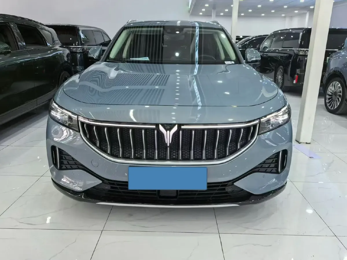 2021 Voyah FREE Range Extended 109HP REEV 33KWH,autocango,china used car exporter,china ev exporter,chinese used car exporter,chinese used ev exporter