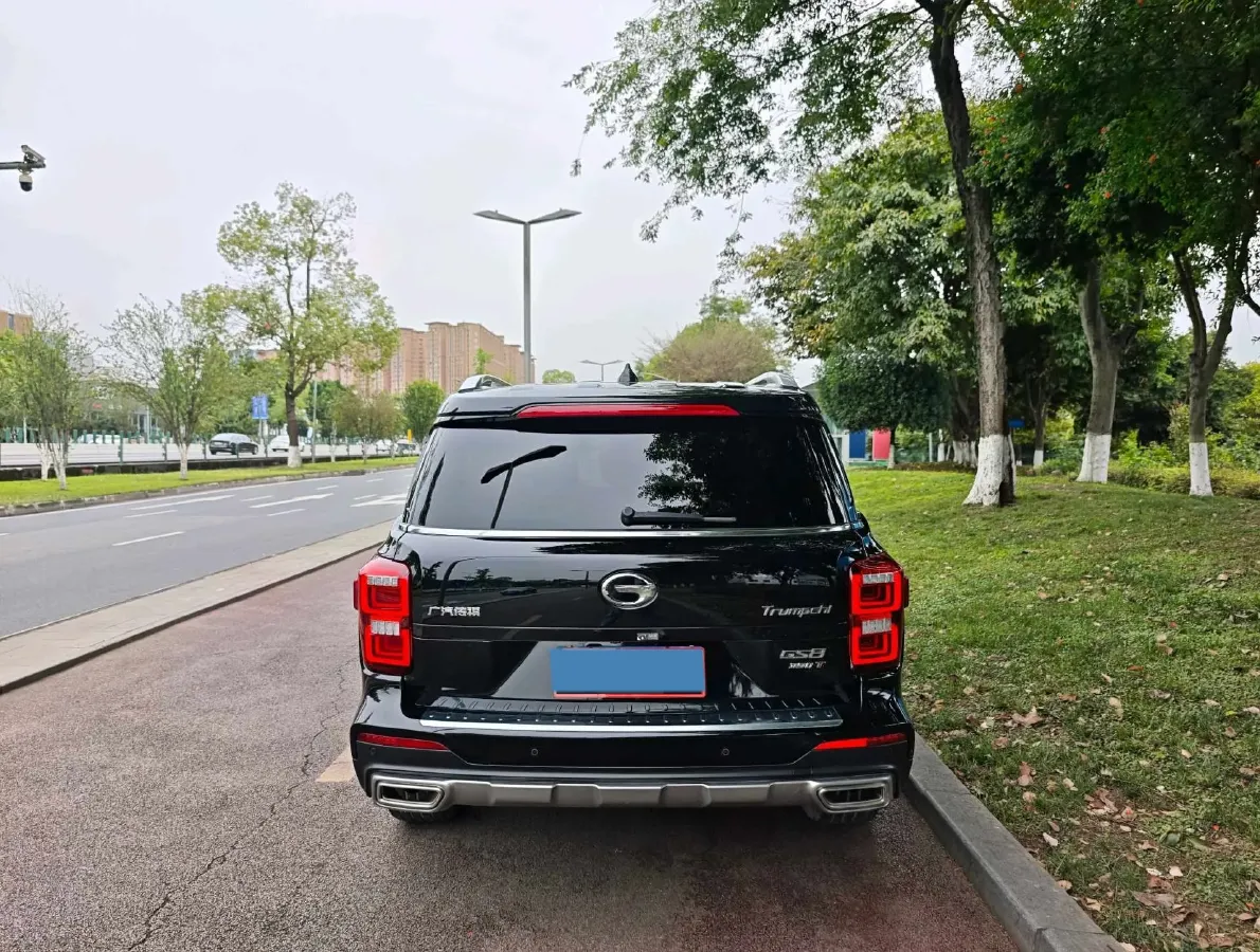 2020 GAC Trumpchi GS8 2.0T 252HP L4 6AT,autocango,china used car exporter,china ev exporter,chinese used car exporter,chinese used ev exporter