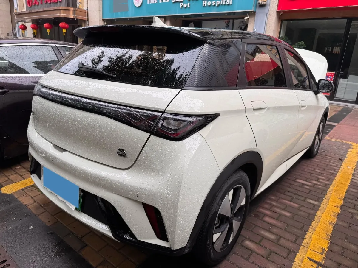 2023 BYD Dolphin BEV 44.928KWH,autocango,china used car exporter,china ev exporter,chinese used car exporter,chinese used ev exporter
