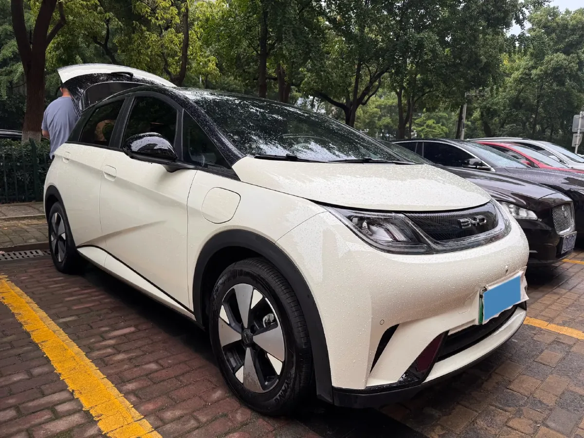 2023 BYD Dolphin BEV 44.928KWH,autocango,china used car exporter,china ev exporter,chinese used car exporter,chinese used ev exporter