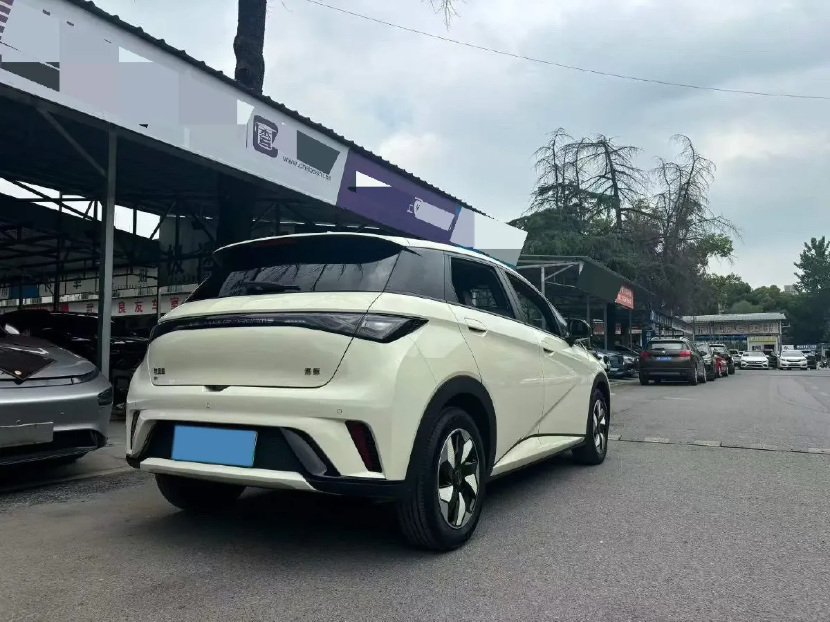 2024 BYD Dolphin BEV 44.928KWH,autocango,china used car exporter,china ev exporter,chinese used car exporter,chinese used ev exporter