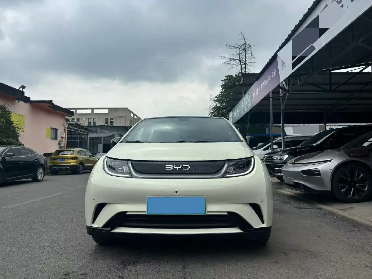 2024 BYD Dolphin BEV 44.928KWH,autocango,china used car exporter,china ev exporter,chinese used car exporter,chinese used ev exporter
