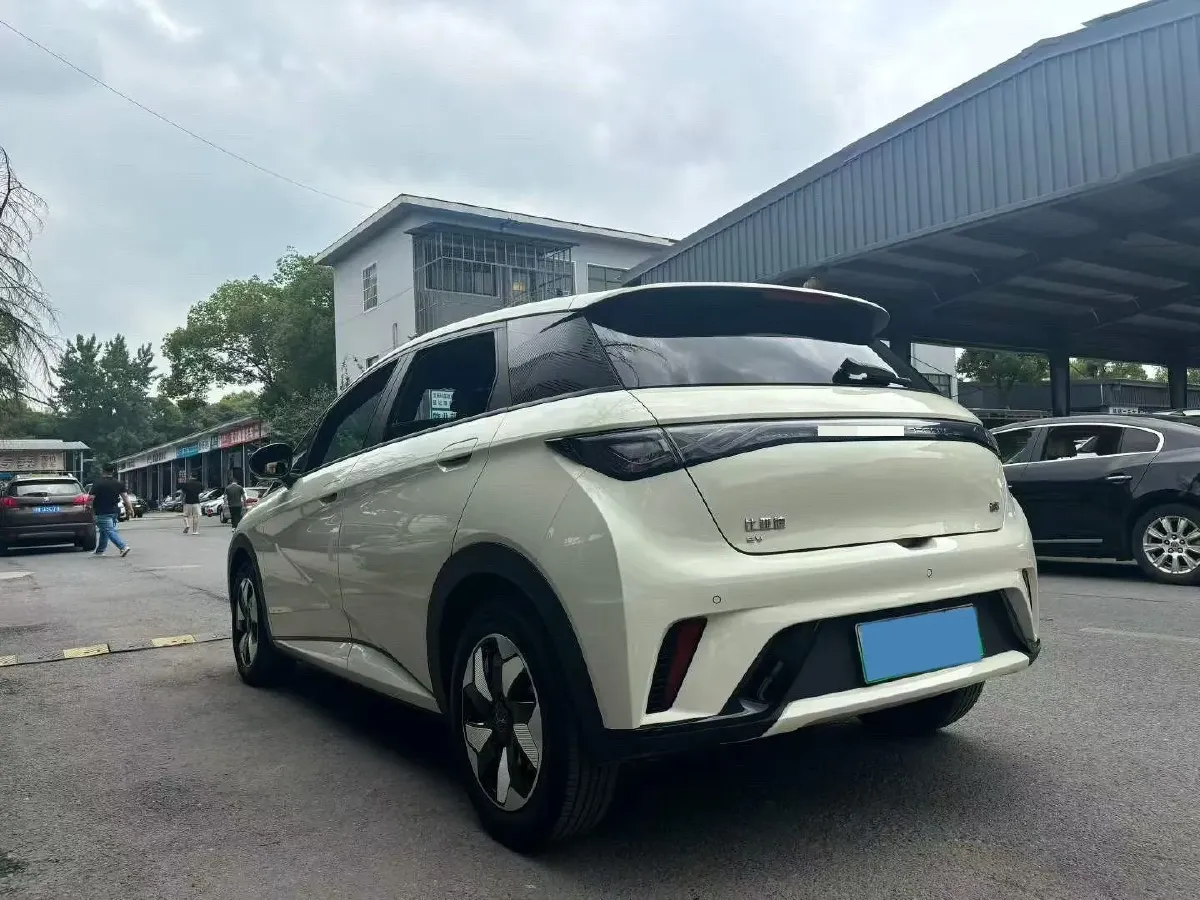 2024 BYD Dolphin BEV 44.928KWH,autocango,china used car exporter,china ev exporter,chinese used car exporter,chinese used ev exporter