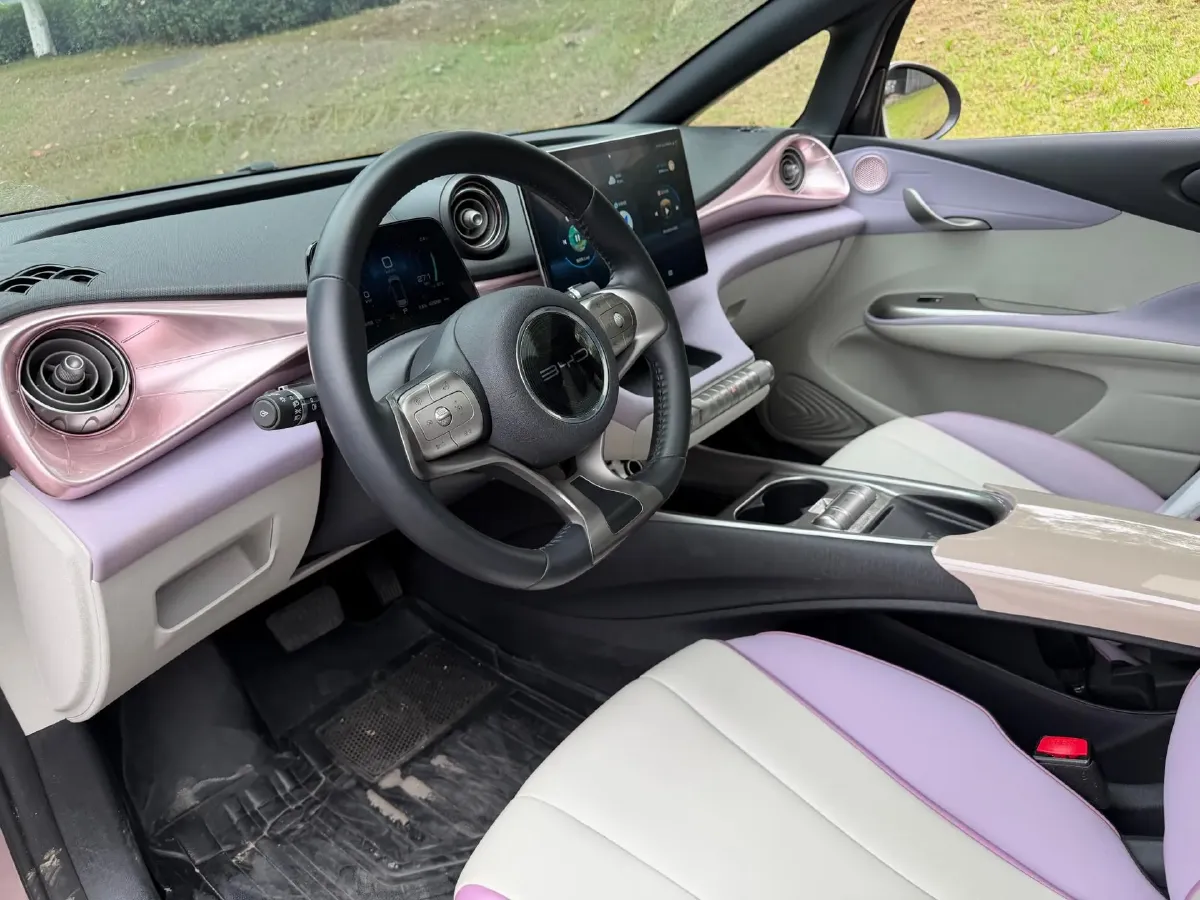 2021 BYD Yuan Pro BEV 50.1KWH,autocango,china used car exporter,china ev exporter,chinese used car exporter,chinese used ev exporter
