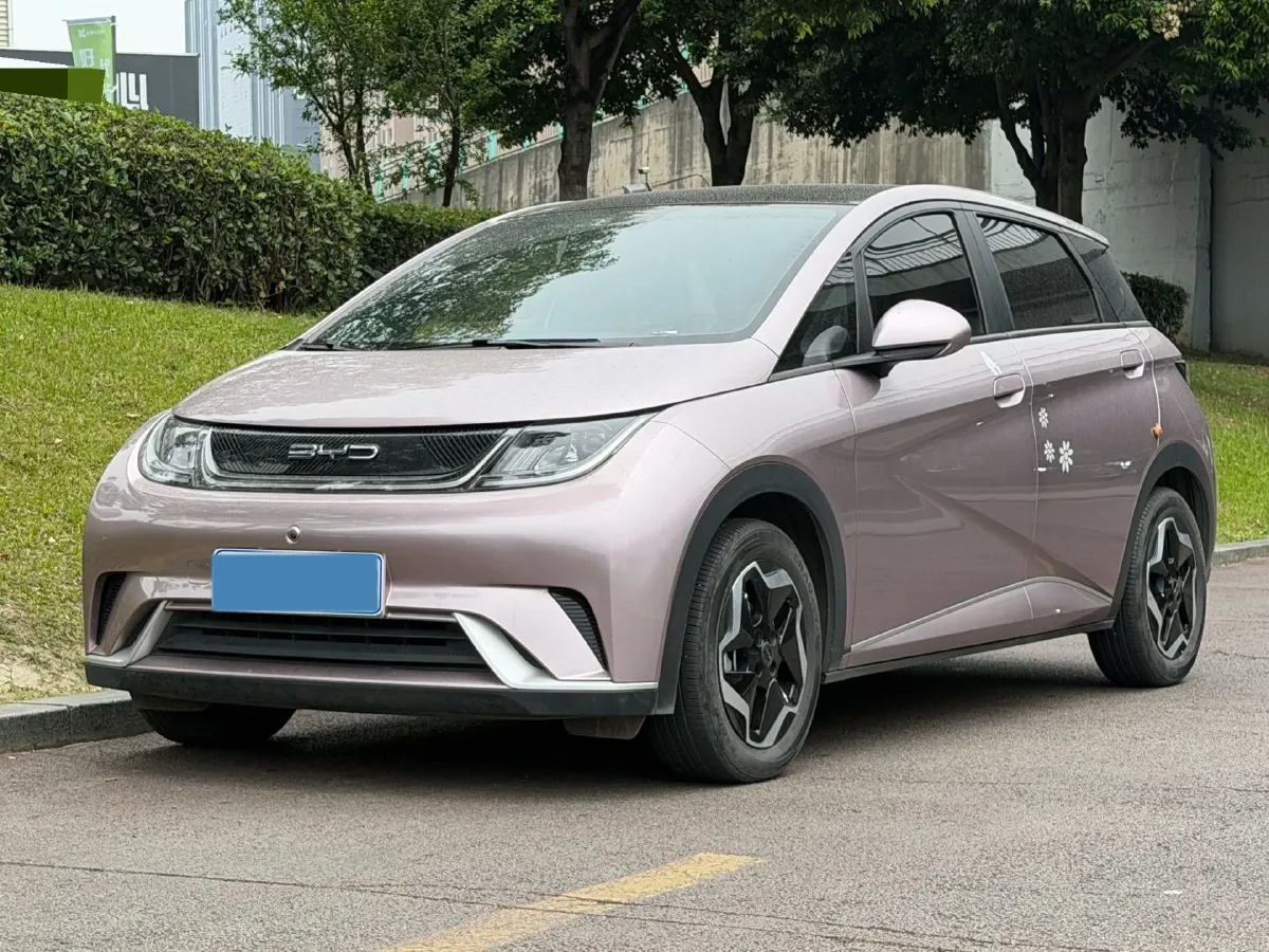 2021 BYD Yuan Pro BEV 50.1KWH,autocango,china used car exporter,china ev exporter,chinese used car exporter,chinese used ev exporter