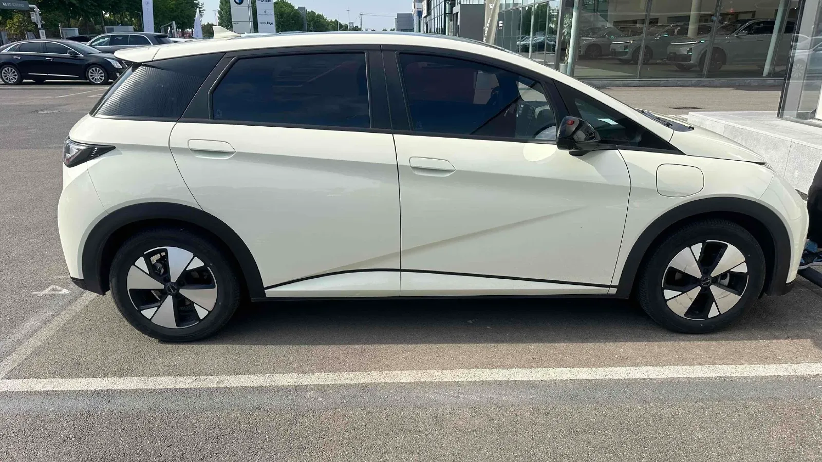 2023 BYD Dolphin BEV 44.928KWH,autocango,china used car exporter,china ev exporter,chinese used car exporter,chinese used ev exporter