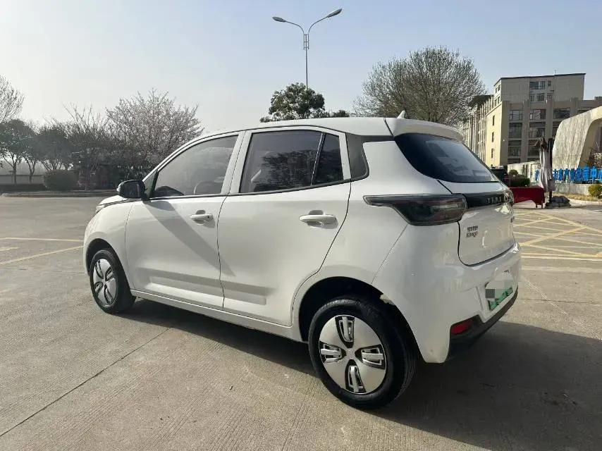 2022 Levdeo Mango BEV 17.28KWH,autocango,china used car exporter,china ev exporter,chinese used car exporter,chinese used ev exporter