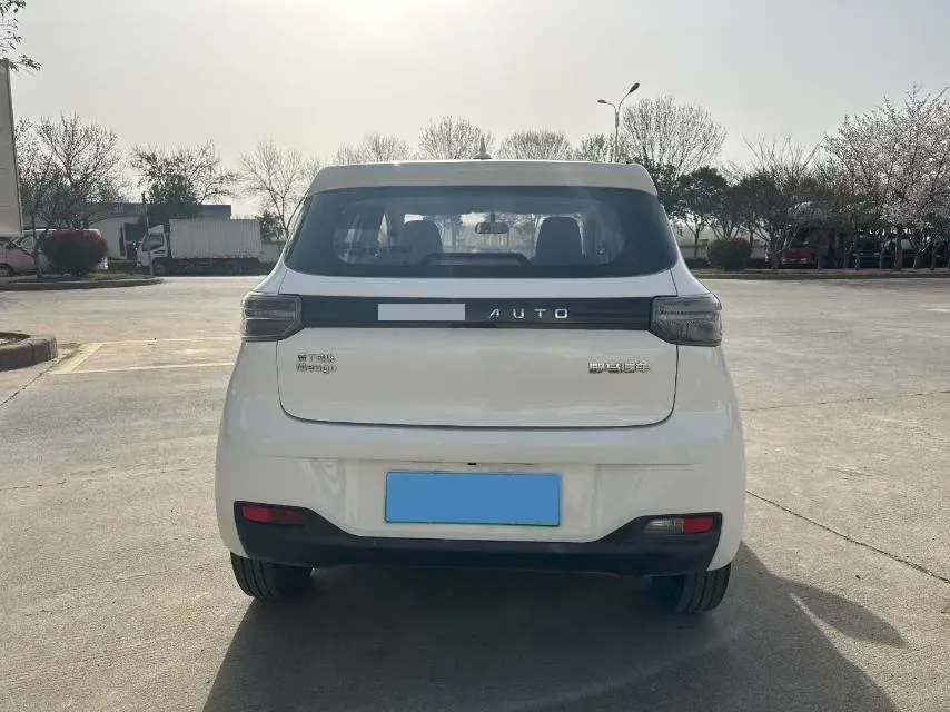 2022 Levdeo Mango BEV 17.28KWH,autocango,china used car exporter,china ev exporter,chinese used car exporter,chinese used ev exporter