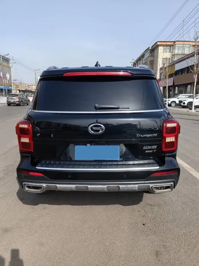 2020 GAC Trumpchi GS8 2.0T 252HP L4 6AT,autocango,china used car exporter,china ev exporter,chinese used car exporter,chinese used ev exporter