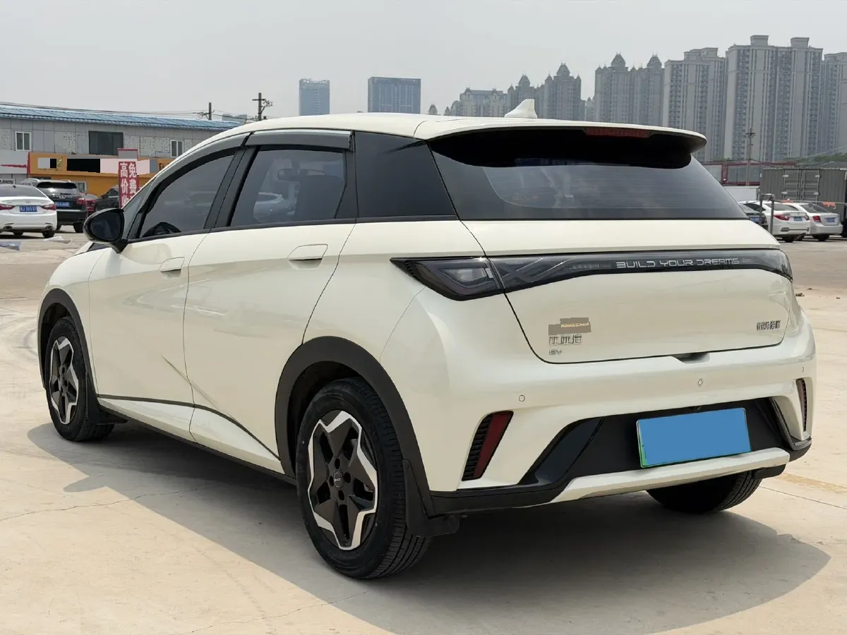 2025 BYD Dolphin BEV 44.928KWH,autocango,china used car exporter,china ev exporter,chinese used car exporter,chinese used ev exporter