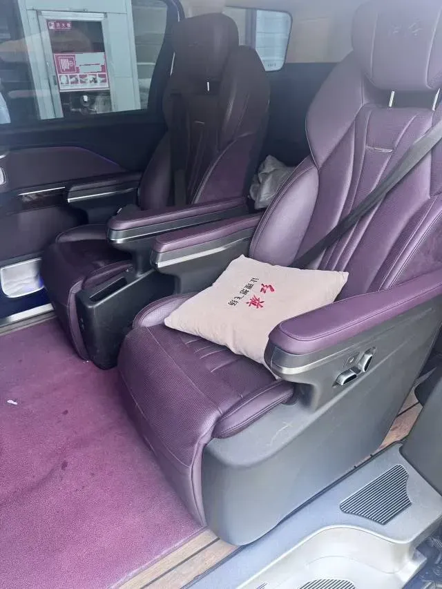 2023 HongQi HQ9 2.0T 252HP L4 8AT,autocango,china used car exporter,china ev exporter,chinese used car exporter,chinese used ev exporter