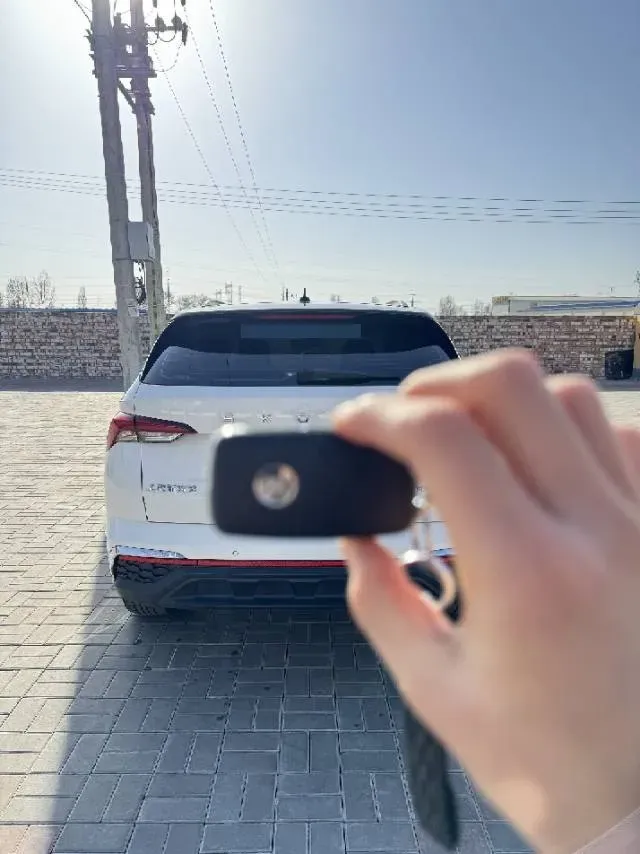 2020 Skoda Karoq 1.4T 150HP L4 7DCT,autocango,china used car exporter,china ev exporter,chinese used car exporter,chinese used ev exporter