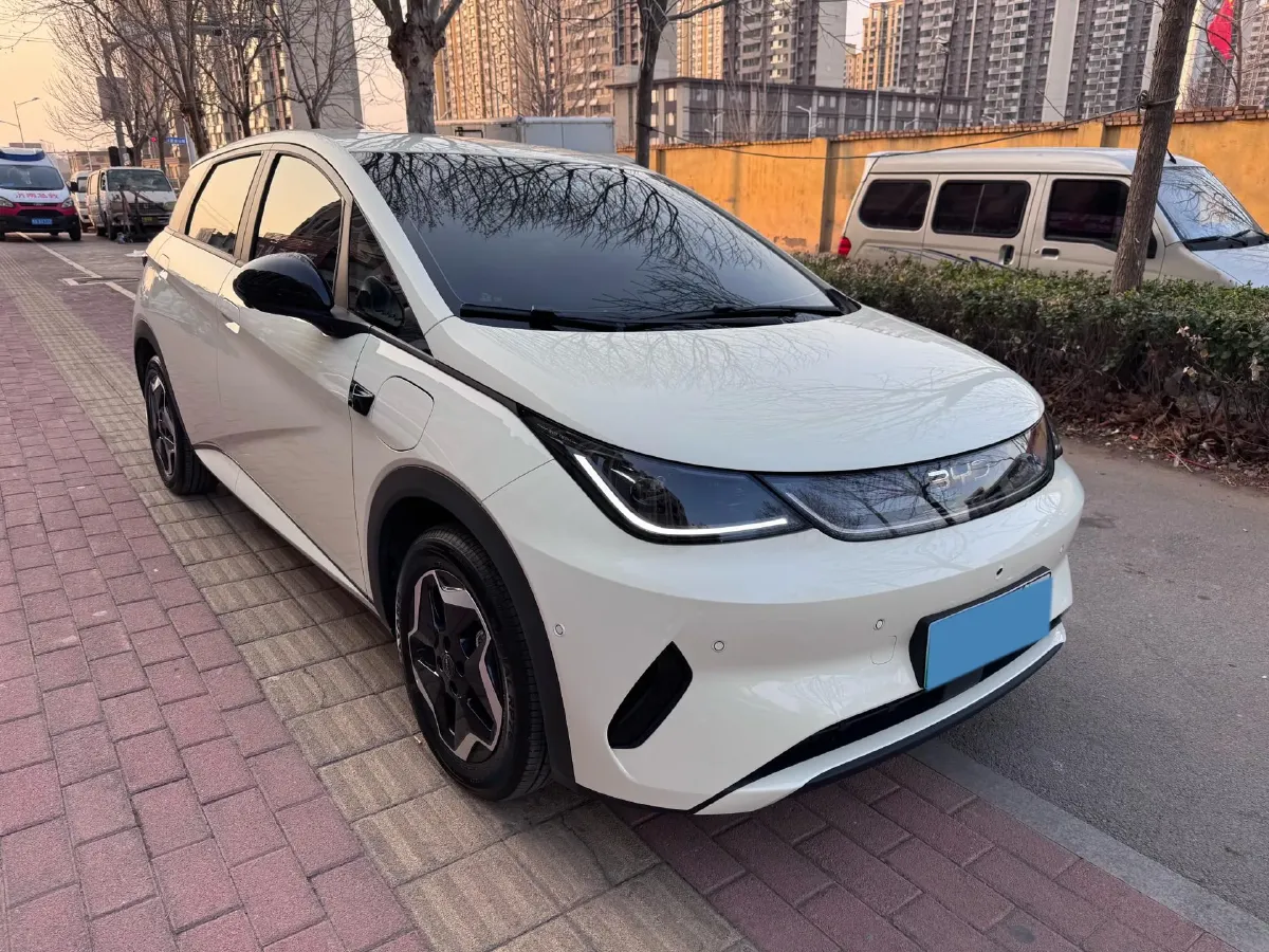 2025 BYD Dolphin BEV 45.12KWH,autocango,china used car exporter,china ev exporter,chinese used car exporter,chinese used ev exporter