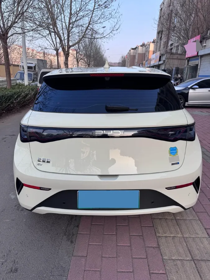 2025 BYD Dolphin BEV 45.12KWH,autocango,china used car exporter,china ev exporter,chinese used car exporter,chinese used ev exporter