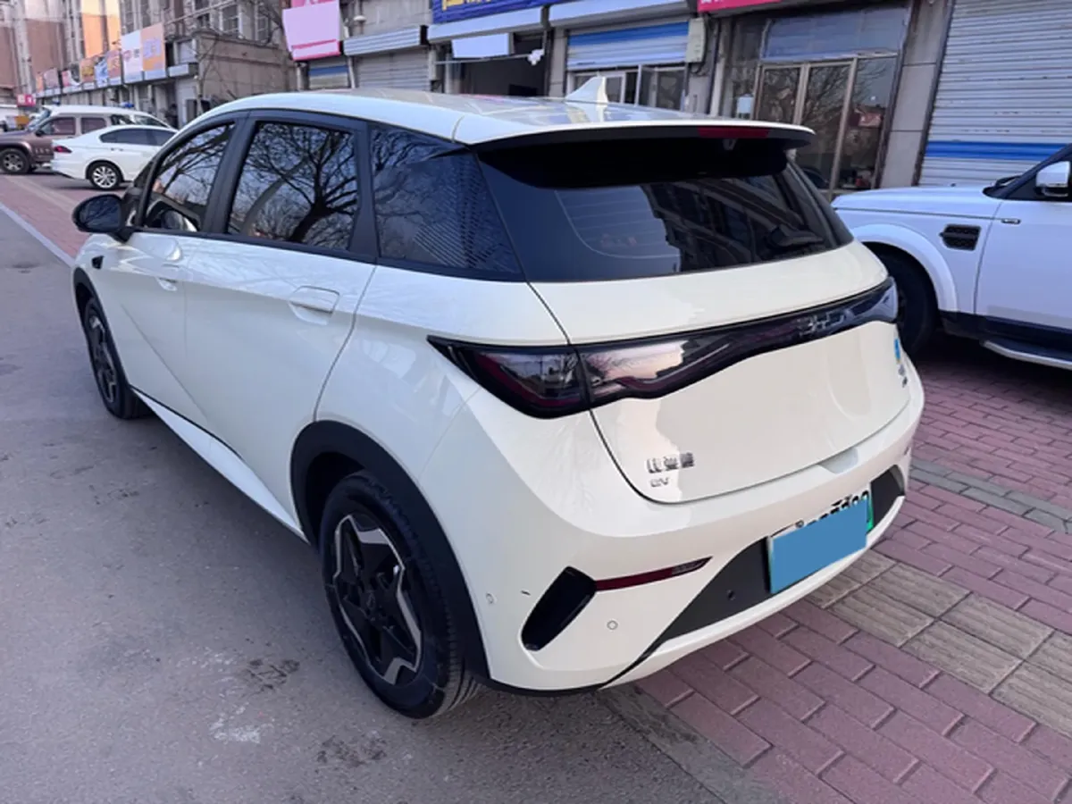 2025 BYD Dolphin BEV 45.12KWH,autocango,china used car exporter,china ev exporter,chinese used car exporter,chinese used ev exporter