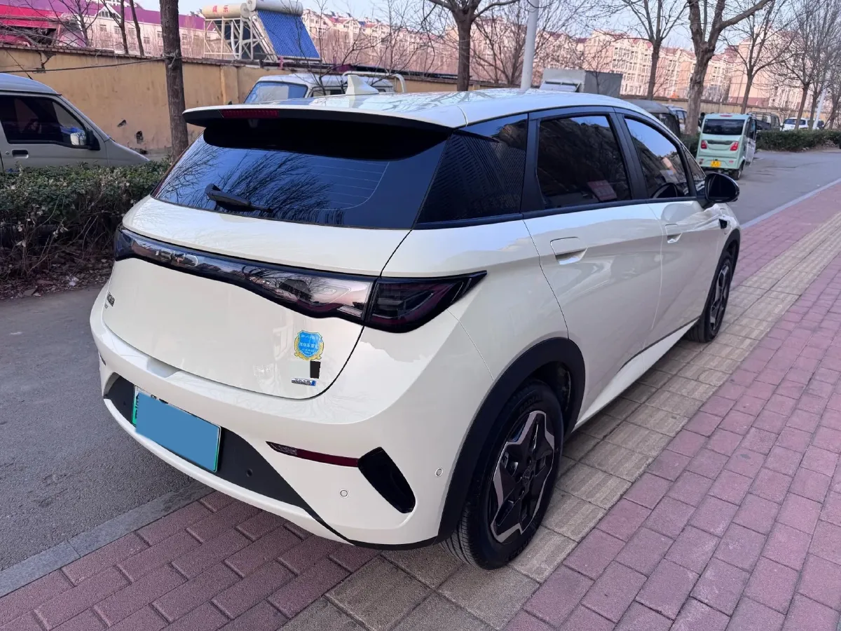 2025 BYD Dolphin BEV 45.12KWH,autocango,china used car exporter,china ev exporter,chinese used car exporter,chinese used ev exporter