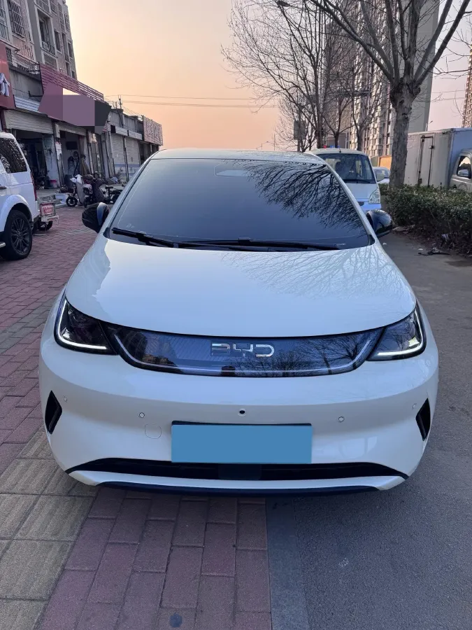 2025 BYD Dolphin BEV 45.12KWH,autocango,china used car exporter,china ev exporter,chinese used car exporter,chinese used ev exporter