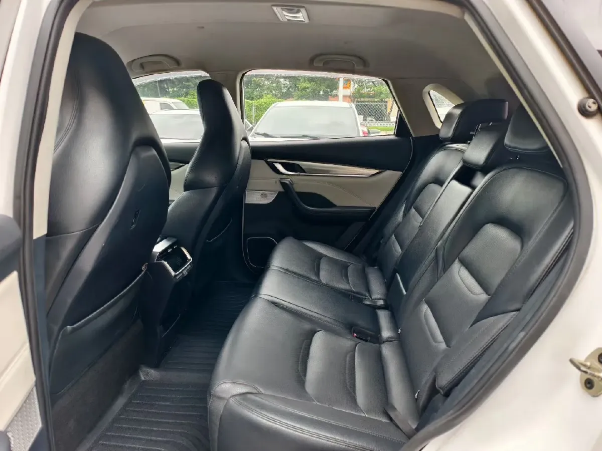 2021 Weltmeister EX5 BEV 52.704KWH,autocango,china used car exporter,china ev exporter,chinese used car exporter,chinese used ev exporter