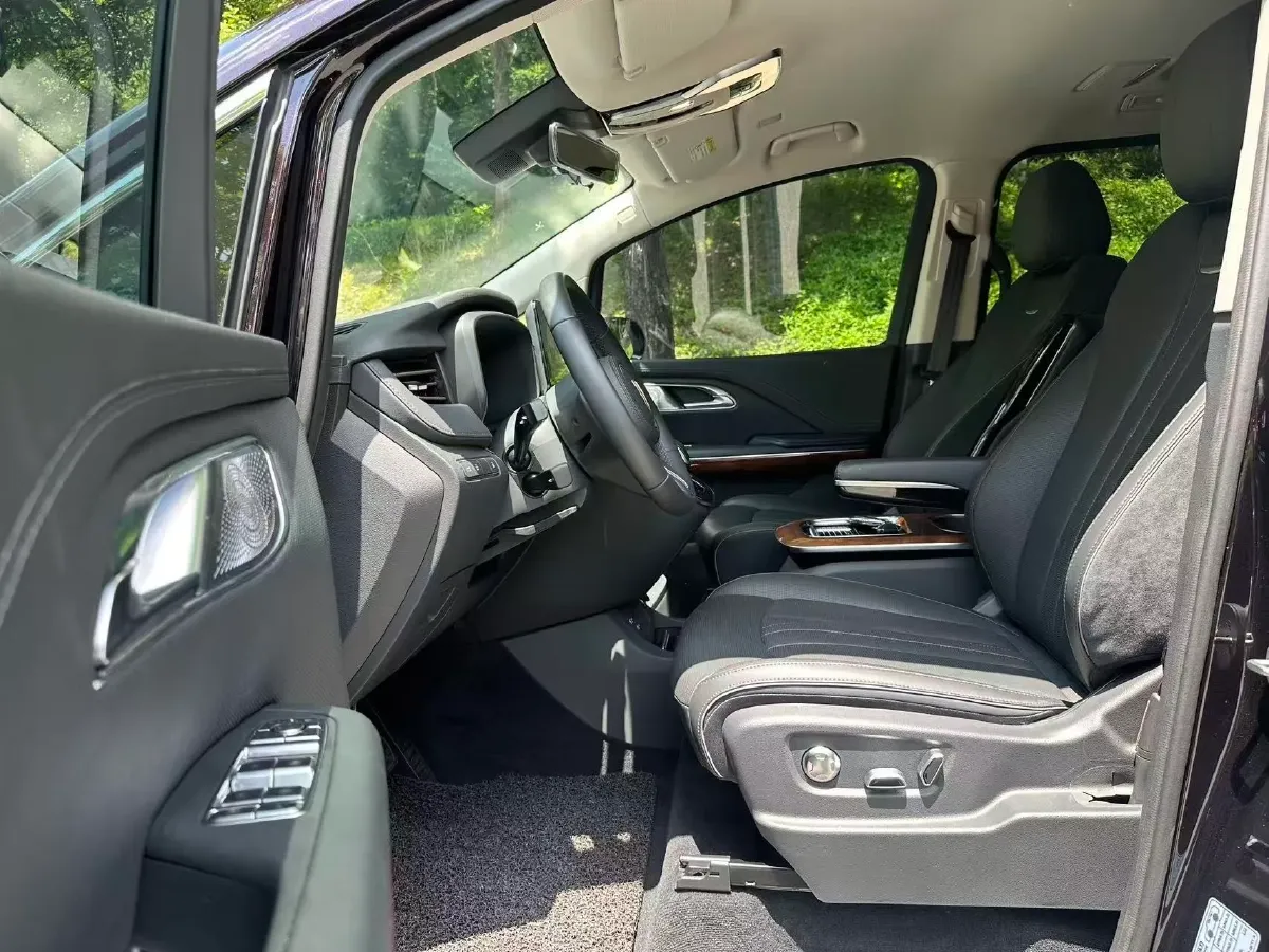 2024 HongQi HQ9 2.0T 163HP L4 1DHT PHEV 20.14KWH,autocango,china used car exporter,china ev exporter,chinese used car exporter,chinese used ev exporter