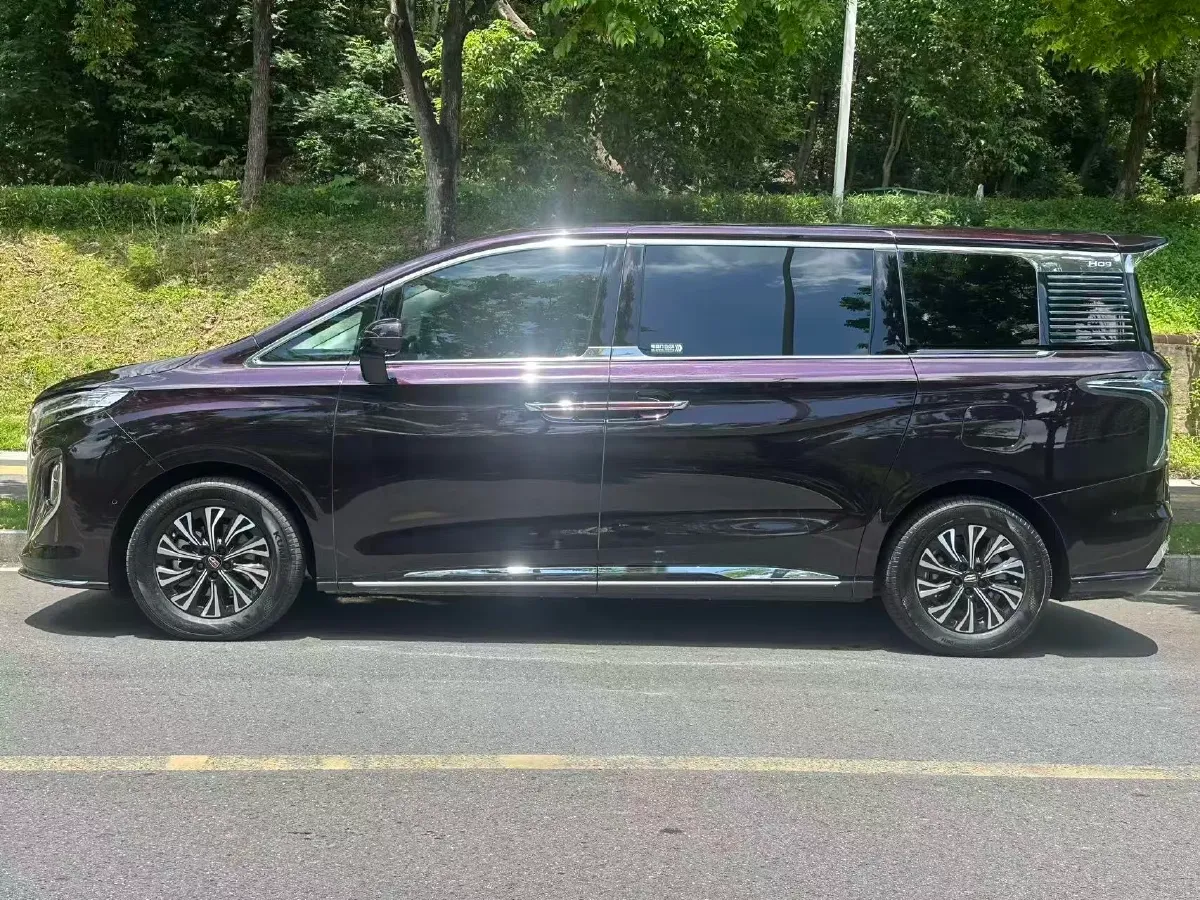 2024 HongQi HQ9 2.0T 163HP L4 1DHT PHEV 20.14KWH,autocango,china used car exporter,china ev exporter,chinese used car exporter,chinese used ev exporter