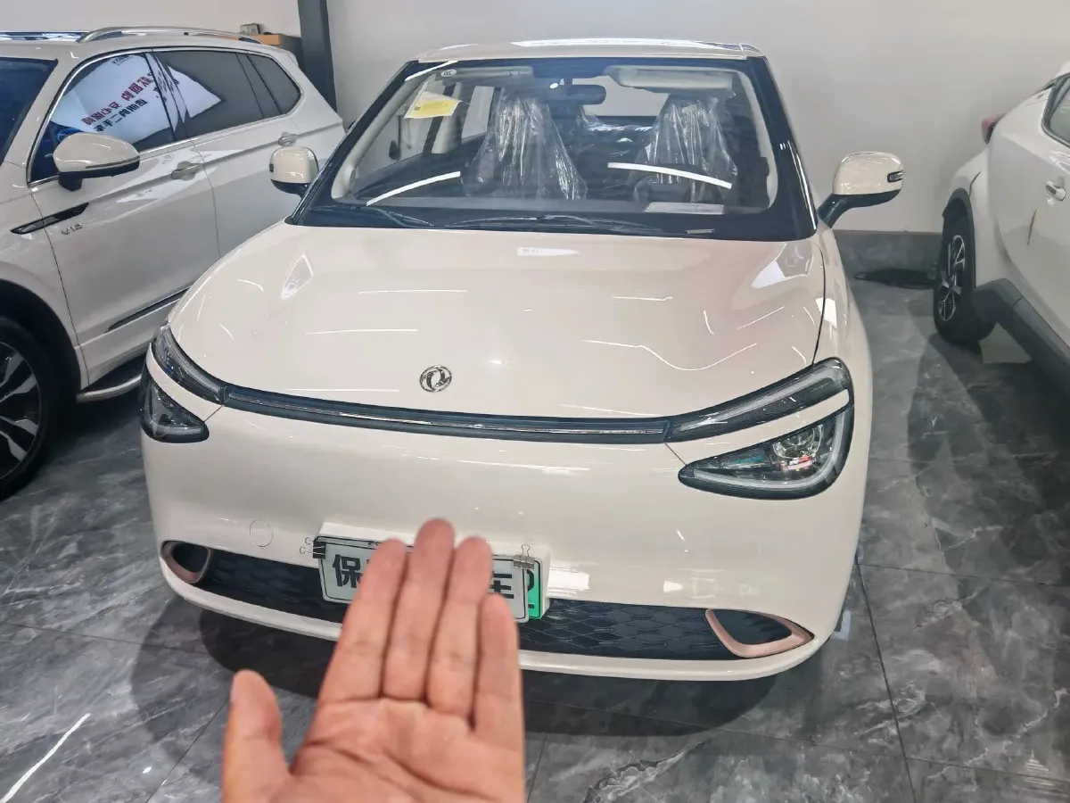2025 DongFeng Nammi 01 BEV,autocango,china used car exporter,china ev exporter,chinese used car exporter,chinese used ev exporter