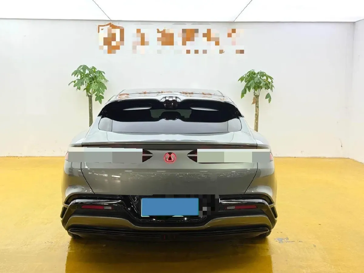 2024 Denza DenzaZ9GT 2.0T 207HP L4 E-CVT PHEV 38.5KWH,autocango,china used car exporter,china ev exporter,chinese used car exporter,chinese used ev exporter