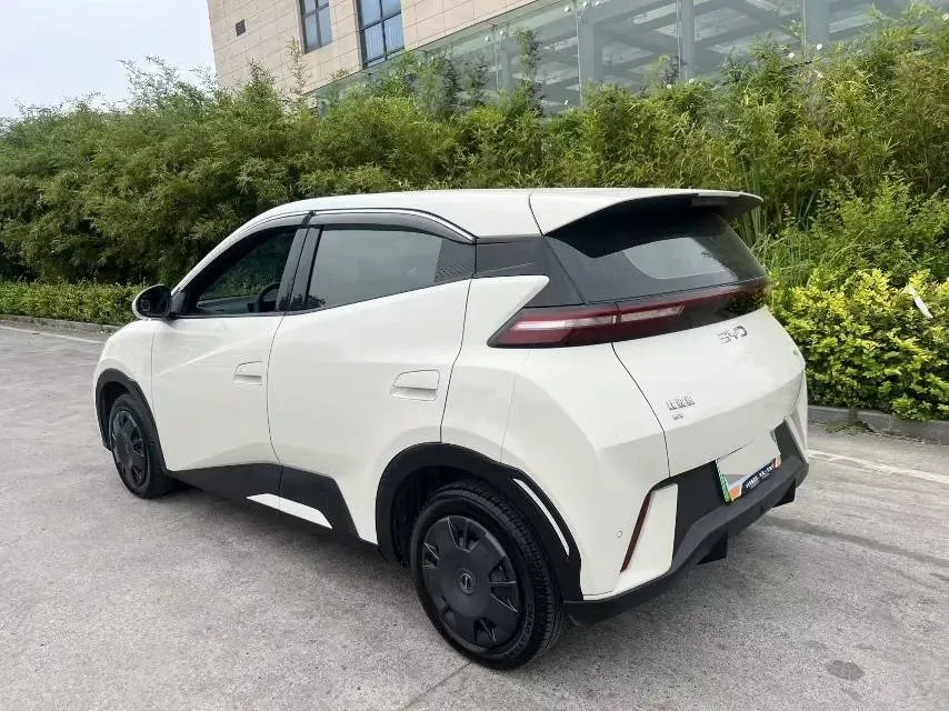 2024 BYD Seagull BEV 30.08KWH,autocango,china used car exporter,china ev exporter,chinese used car exporter,chinese used ev exporter