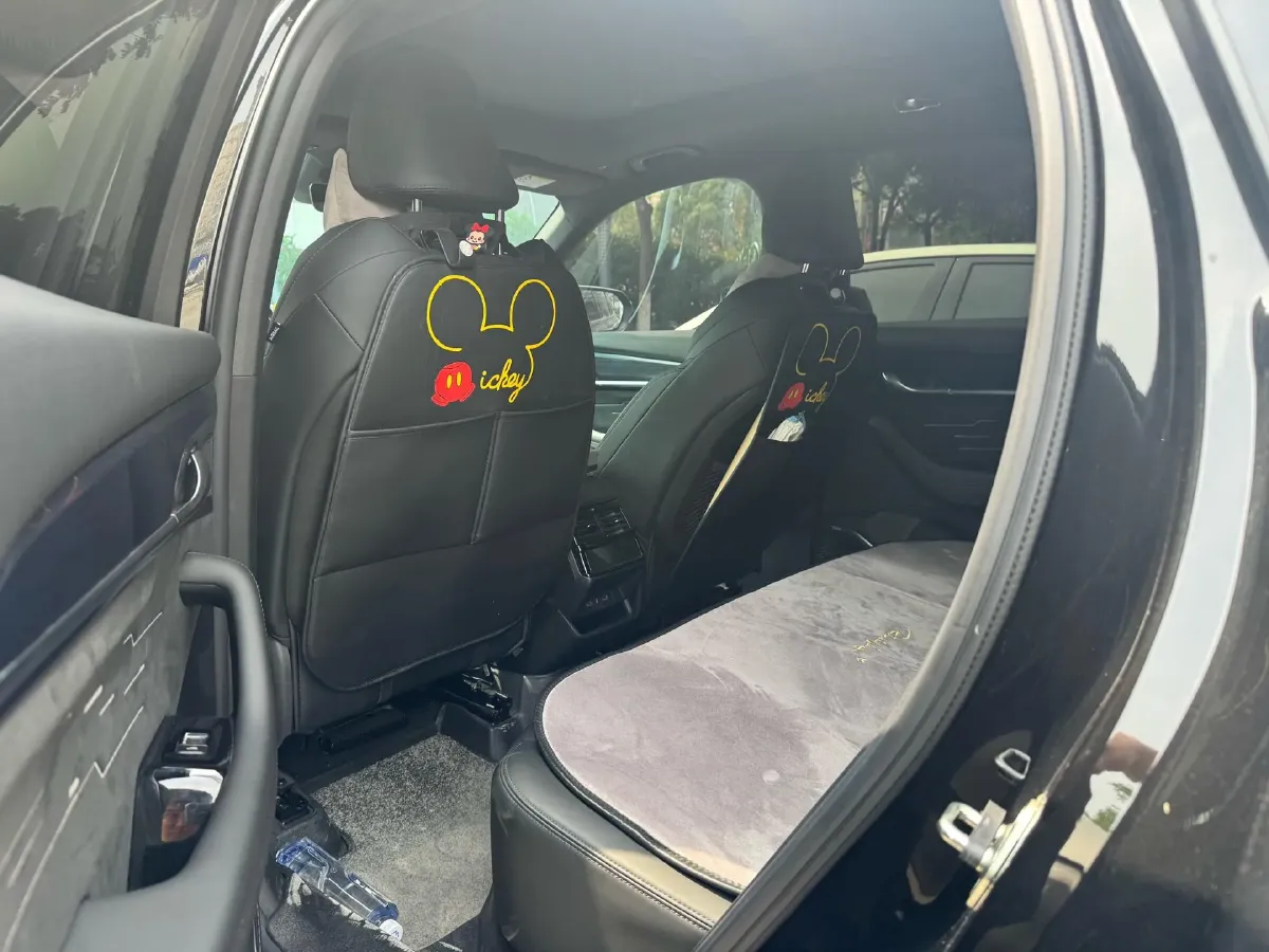 2024 Geely Monjaro 2.0T 238HP L4 8AT,autocango,china used car exporter,china ev exporter,chinese used car exporter,chinese used ev exporter