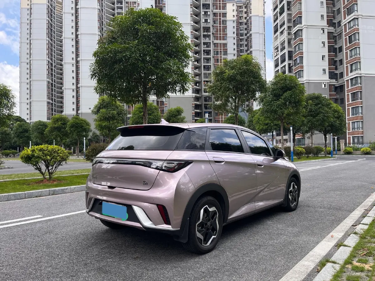 2021 BYD Yuan Pro BEV 50.1KWH,autocango,china used car exporter,china ev exporter,chinese used car exporter,chinese used ev exporter