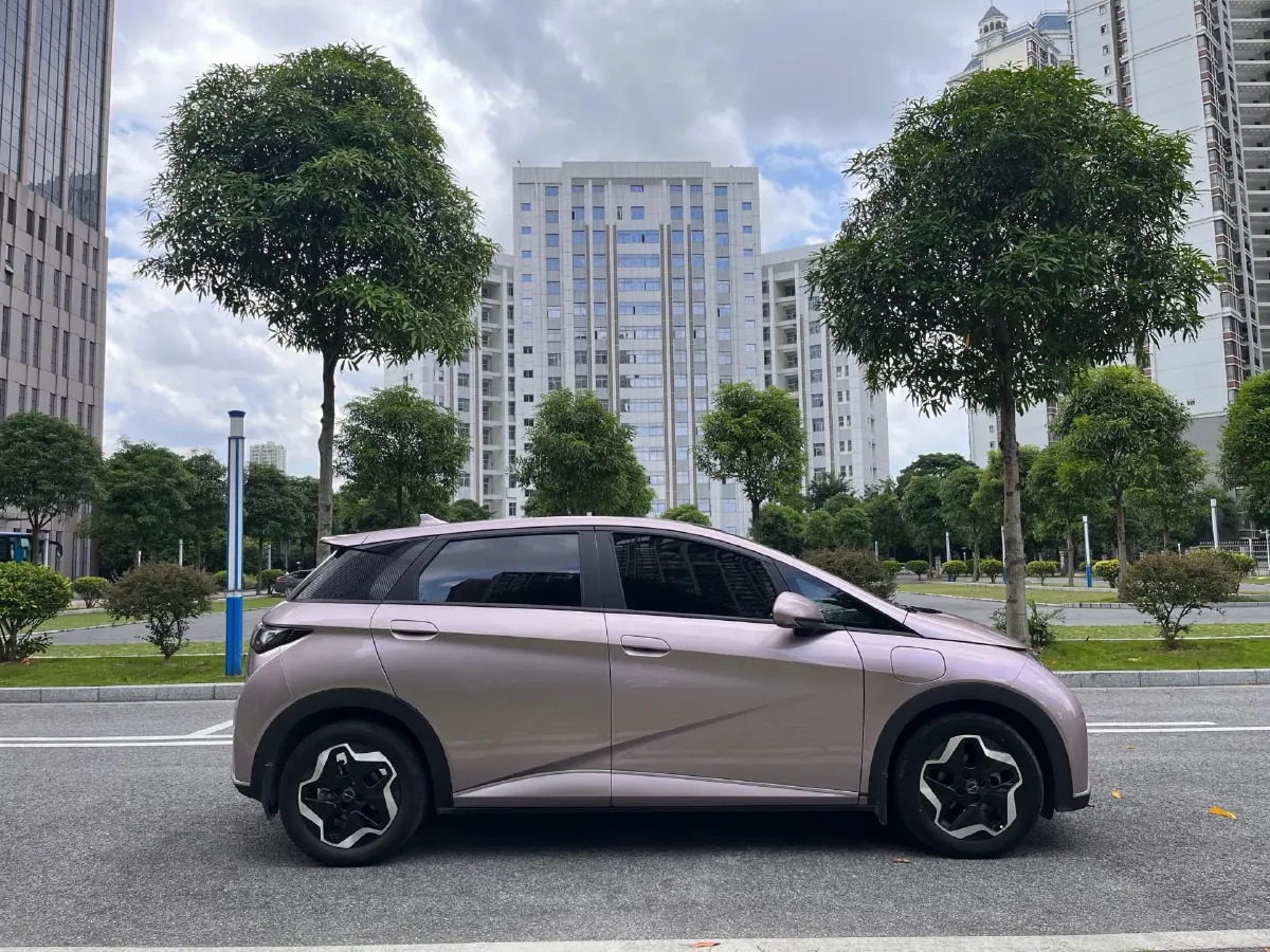 2021 BYD Yuan Pro BEV 50.1KWH,autocango,china used car exporter,china ev exporter,chinese used car exporter,chinese used ev exporter