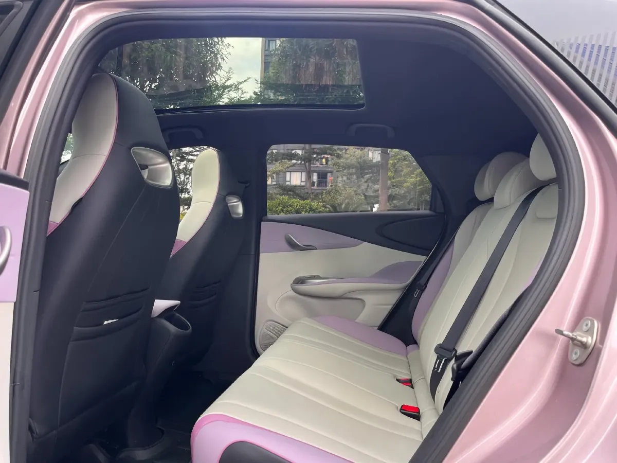 2021 BYD Yuan Pro BEV 50.1KWH,autocango,china used car exporter,china ev exporter,chinese used car exporter,chinese used ev exporter