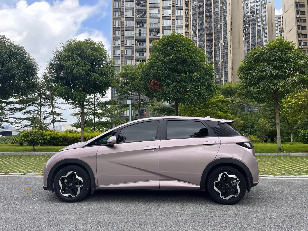 2021 BYD Yuan Pro BEV 50.1KWH,autocango,china used car exporter,china ev exporter,chinese used car exporter,chinese used ev exporter