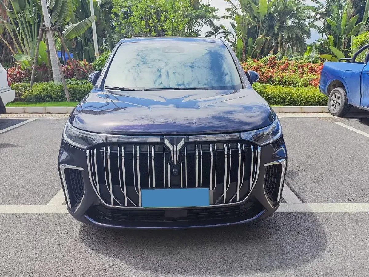 2022 Voyah Dream 1.5T 136HP L4 PHEV 25.57KWH,autocango,china used car exporter,china ev exporter,chinese used car exporter,chinese used ev exporter