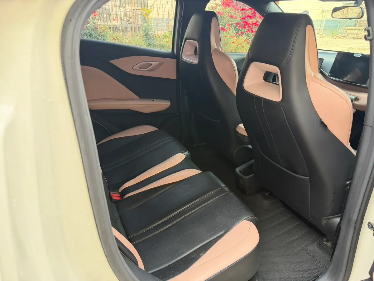 2023 BYD Seagull BEV 38.88KWH,autocango,china used car exporter,china ev exporter,chinese used car exporter,chinese used ev exporter