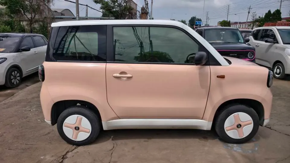 2024 ZD Rainbow BEV 17.18KWH,autocango,china used car exporter,china ev exporter,chinese used car exporter,chinese used ev exporter