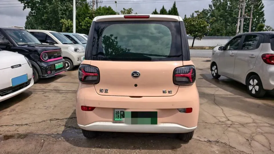 2024 ZD Rainbow BEV 17.18KWH,autocango,china used car exporter,china ev exporter,chinese used car exporter,chinese used ev exporter