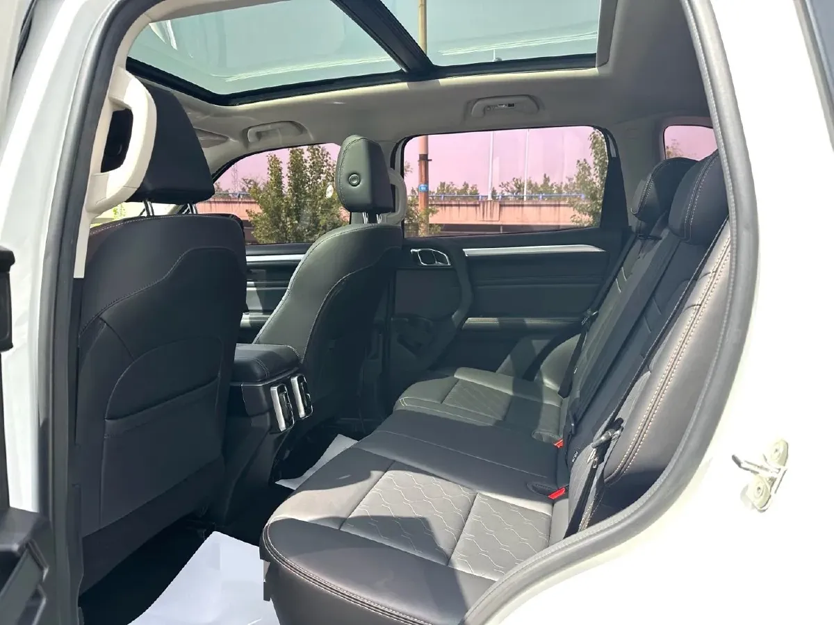 2021 Haval Dargo 2.0T 211HP L4 7DCT,autocango,china used car exporter,china ev exporter,chinese used car exporter,chinese used ev exporter