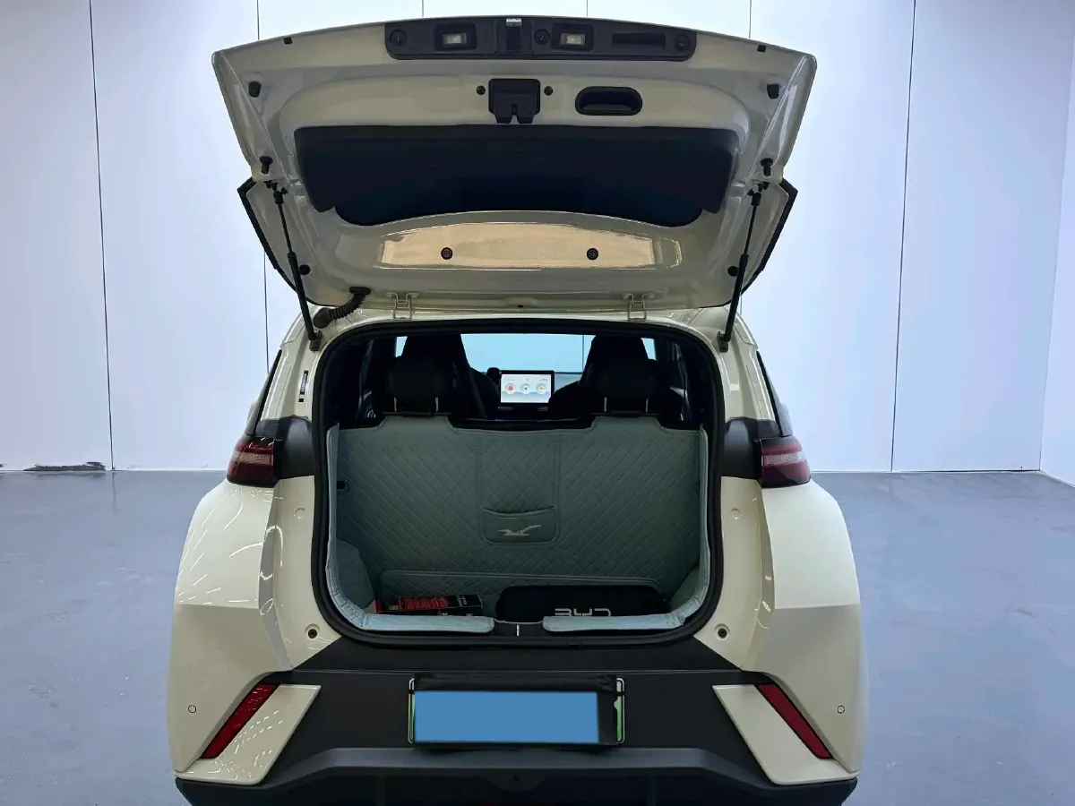 2025 BYD Seagull BEV 30.08KWH,autocango,china used car exporter,china ev exporter,chinese used car exporter,chinese used ev exporter