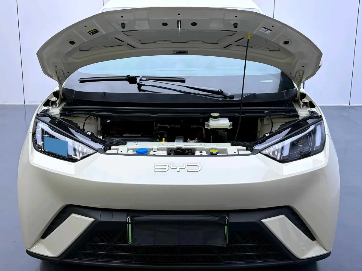 2025 BYD Seagull BEV 30.08KWH,autocango,china used car exporter,china ev exporter,chinese used car exporter,chinese used ev exporter