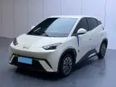 2025 BYD SEAGULL,autocango,china used car exporter,china ev exporter,chinese used car exporter,chinese used ev exporter