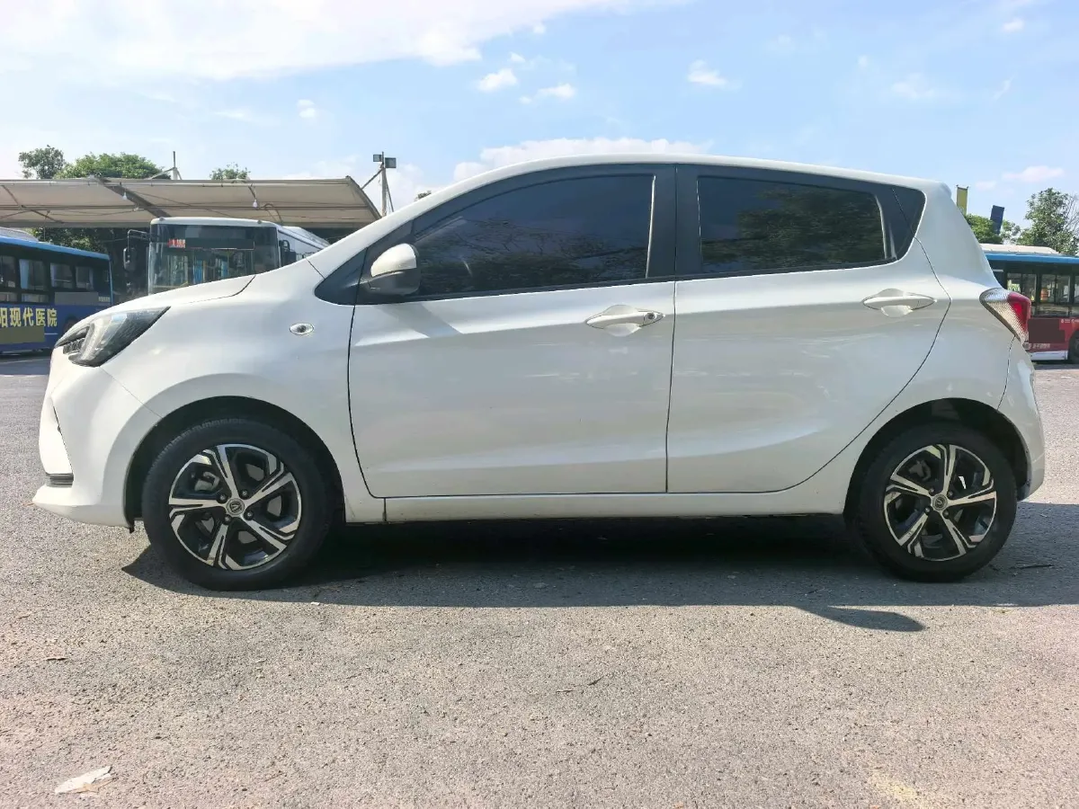 2022 ChangAn BenBen E-Star BEV 32.2KWH,autocango,china used car exporter,china ev exporter,chinese used car exporter,chinese used ev exporter